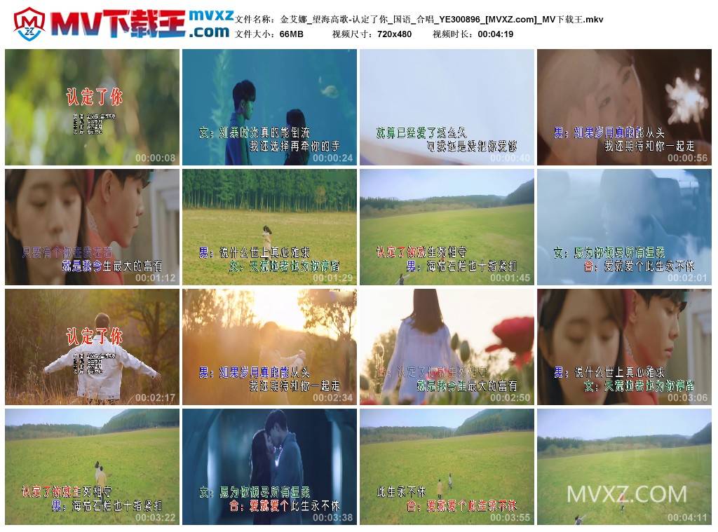 金艾娜_望海高歌-认定了你_国语_合唱_YE300896